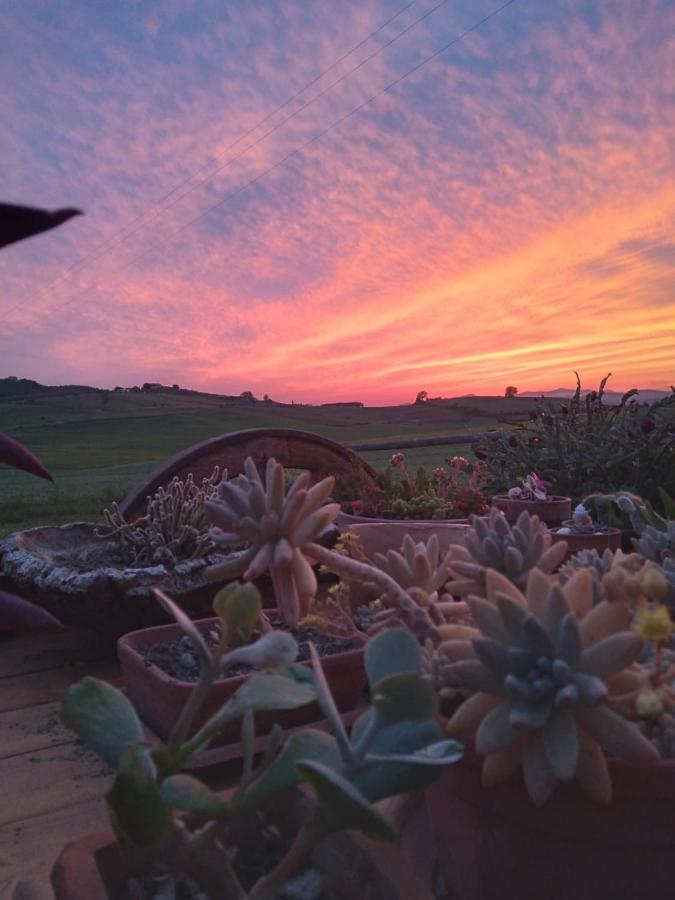Agriturismo Enjoy Sunset Cinigiano Exterior photo